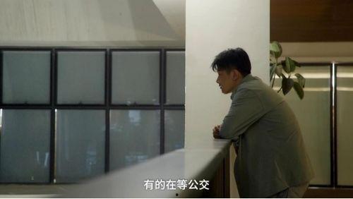 爆料辛有志主播视频在线观看,独家视频在线观看，带你领略直播魅力